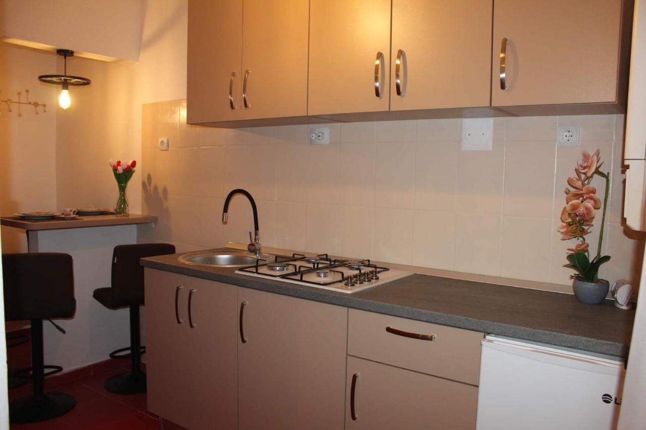 Apartamento Apartament Dania & Petru Tîrgu Ocna Exterior foto