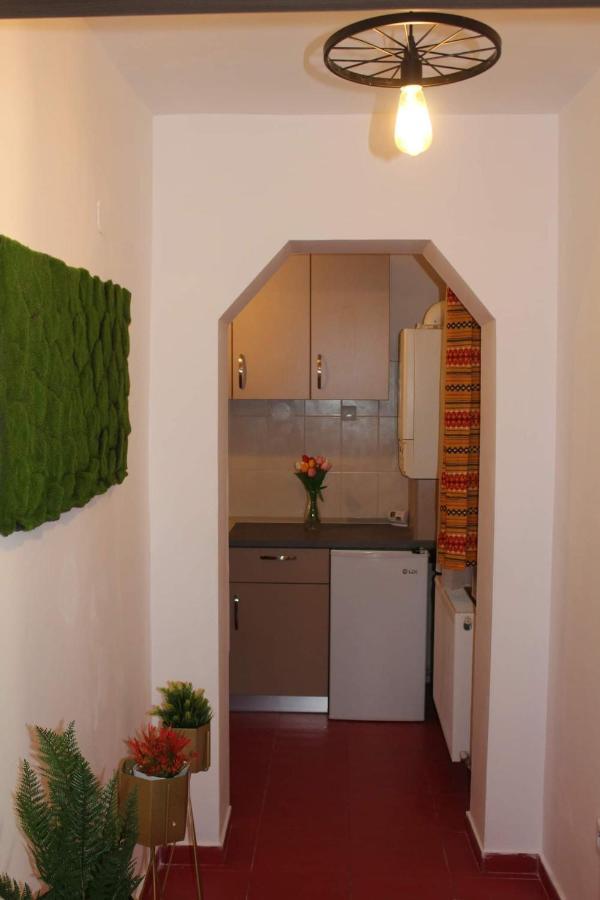 Apartamento Apartament Dania & Petru Tîrgu Ocna Exterior foto
