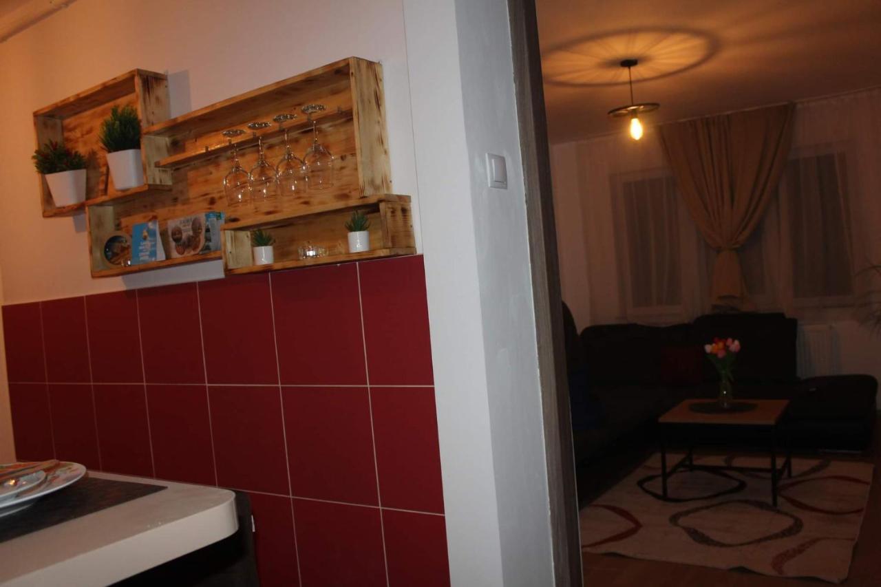 Apartamento Apartament Dania & Petru Tîrgu Ocna Exterior foto