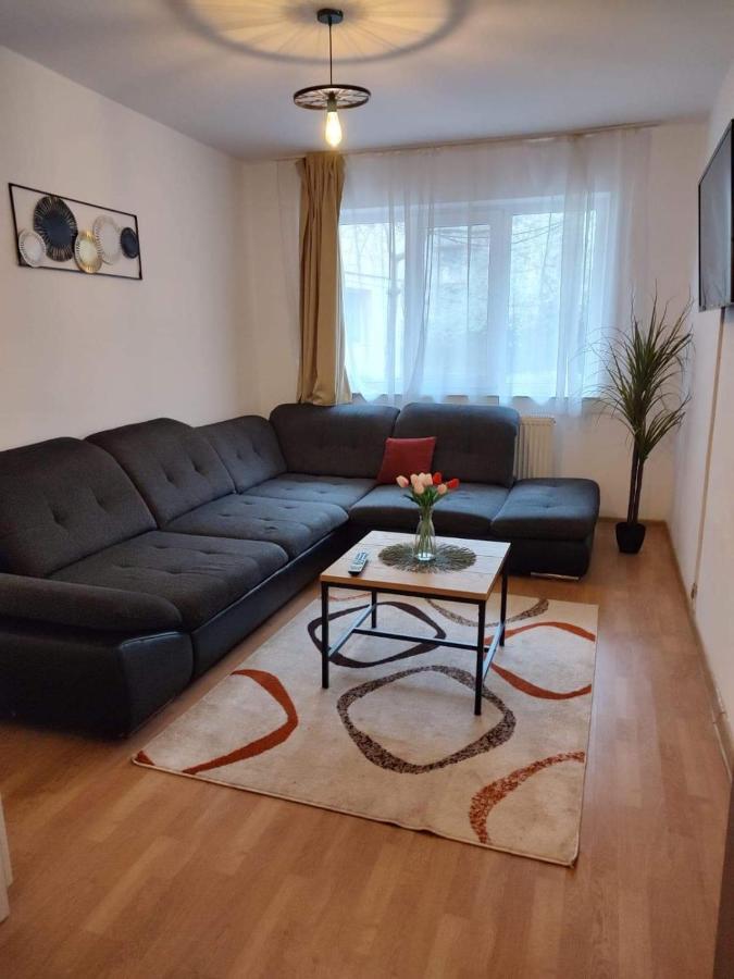 Apartamento Apartament Dania & Petru Tîrgu Ocna Exterior foto